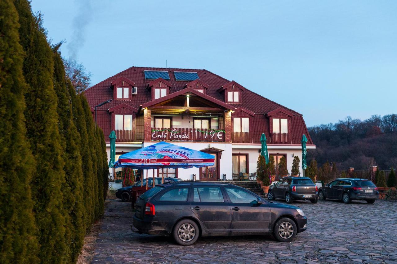 Pensiunea Si Restaurant Erdo Odorheiu Secuiesc Extérieur photo